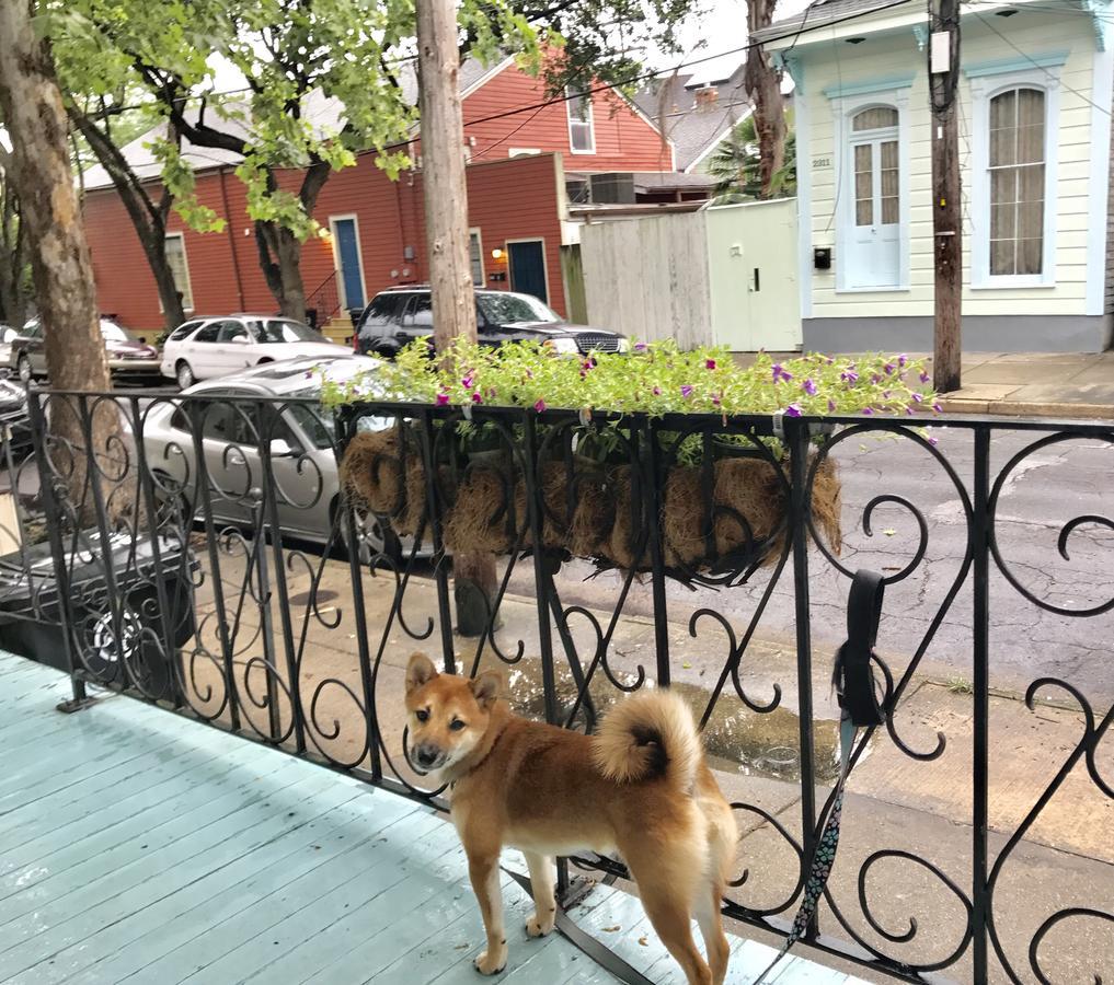 La Dauphine Bed And Breakfast Nueva Orleans Exterior foto